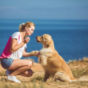 A woman kneeling down to pet a dog.