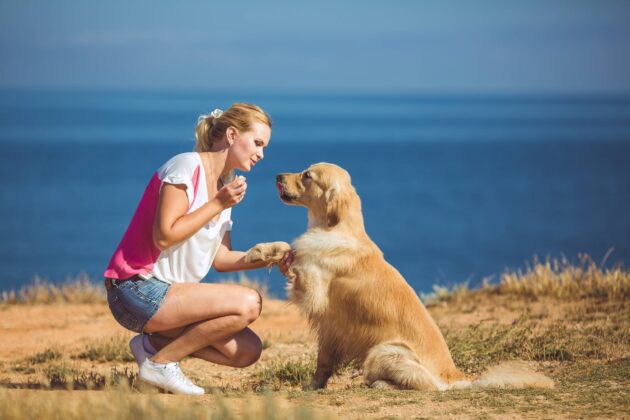 A woman kneeling down to pet a dog.