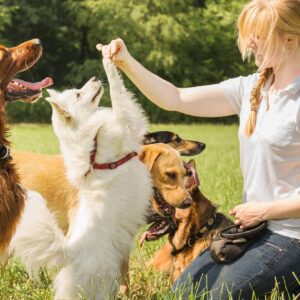 A woman is playing with two dogs in the grass.